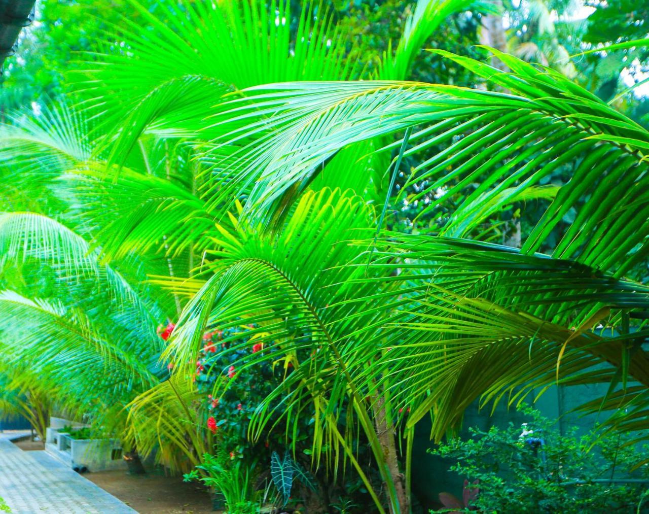 Sri Lankan Villa Elagawagoda Exteriér fotografie